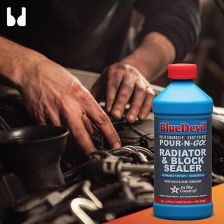 No. 8 - BlueDevil Products Radiator & Block Sealer - 3