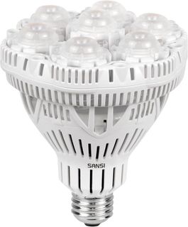 Top 10 Best Grow Light Bulbs for Indoor Plants in 2021- 3