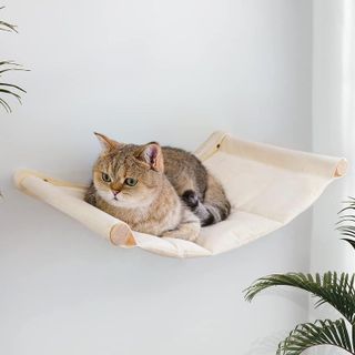 10 Best Cat Hammocks for Your Feline Friends- 5