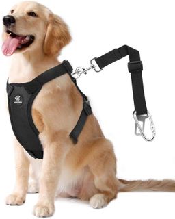 Top 10 Dog Car Harnesses for Pet Safety During Car Travel- 4
