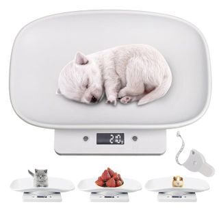 No. 8 - Digital Small Animals Scales for Weighing - 1