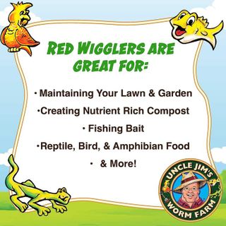 No. 5 - Uncle Jim's Worm Farm Red Wiggler Live Composting Worms Mix - 3