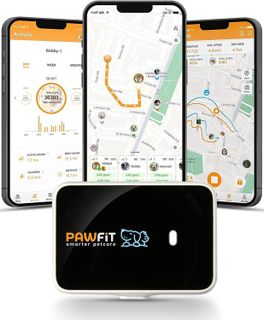 No. 10 - Pawfit 3s GPS Pet Tracker - 1