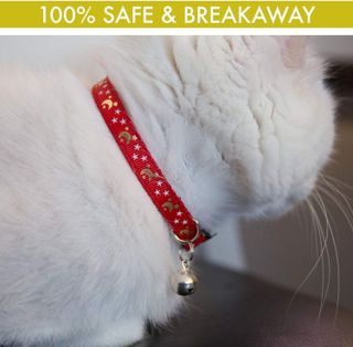 No. 2 - Upgraded Version - Cat Collar Stars and Moon - 4