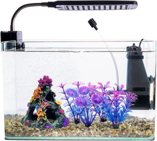 No. 1 - GSD Coral Aquarium Décor - 5