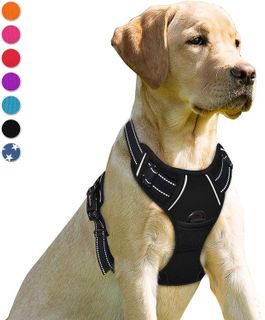 No. 10 - BARKBAY No Pull Dog Harness - 1