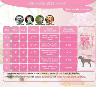 No. 5 - Petroom Sweetie Pup Dog Dress - 3