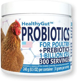 No. 10 - Equa Holistics HealthyGut Probiotics - 1