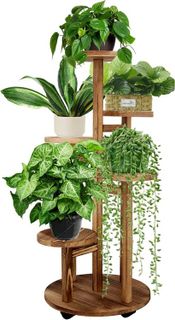 Top 10 Best Plant Stands for Indoor and Outdoor Use- 3