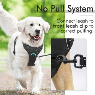 No. 2 - rabbitgoo Dog Harness - 5