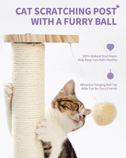 No. 6 - Made4Pets Cat Scratching Post - 4