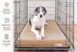 No. 3 - Big Barker Orthopedic Dog Crate Pad - 4