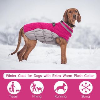 No. 6 - FUAMEY Dog Cold Weather Coat - 3