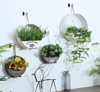 No. 3 - Ceiling Hooks for Hanging Plants - 4