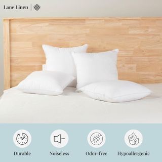 No. 6 - LANE LINEN 4 Pack 18x18 Pillow Inserts - 4