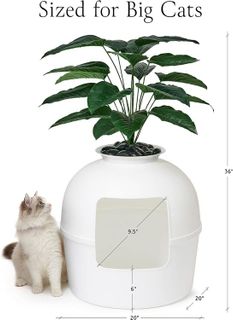 No. 6 - Secret Litter Box - 5