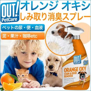 No. 9 - OUT! PetCare Orange Oxy Stain & Odor Remover - 2