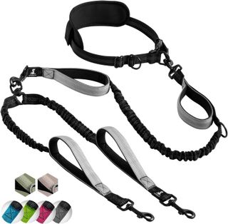 No. 7 - SparklyPets Hands Free Double Dog Leash - 1