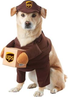 No. 6 - California Costumes Dog Costume - 1