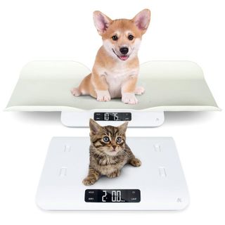 No. 6 - Greater Goods Baby Scale - 1