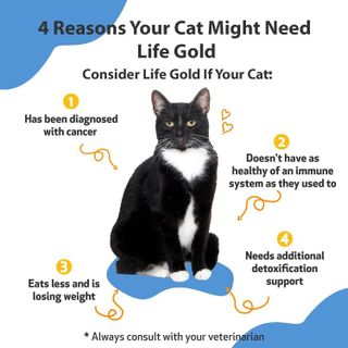 No. 9 - Life Gold Cat Antioxidant Supplement - 2