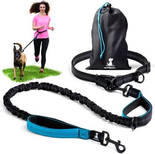 Top 10 Best Hands-Free Dog Leashes for Walking Your Dog- 1