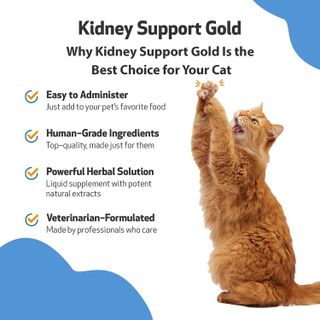 No. 7 - Kidney Support Gold - 4