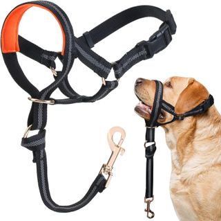 10 Best Dog Head Collars for Leash Training in 2021- 5