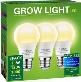 Top 10 Best Grow Light Bulbs for Indoor Plants in 2021- 2