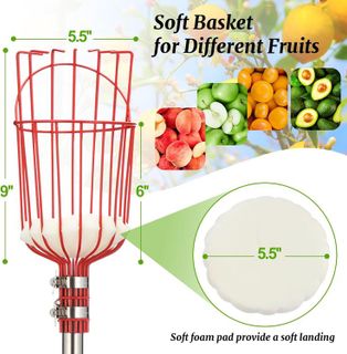 No. 6 - Fruit Picker Tool - 4