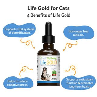 No. 9 - Life Gold Cat Antioxidant Supplement - 3