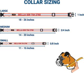 No. 9 - Reflective Personalized Dog Collar - 5