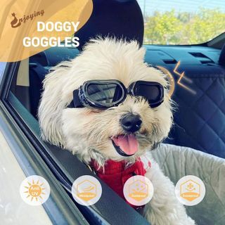 No. 2 - Enjoying Dog Sunglasses - 4