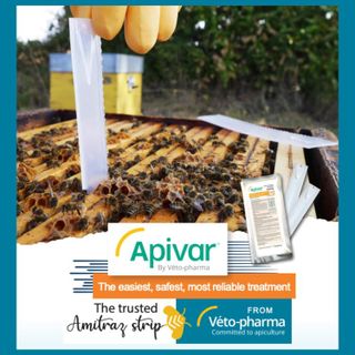 No. 1 - Apivar Mite Treatment - 2