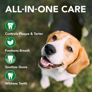 No. 1 - Vet's Best Dog Toothbrush & Enzymatic Toothpaste Kit - 5