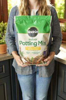 No. 6 - Miracle-Gro Indoor Potting Mix - 2