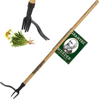 10 Best Manual Weeders for Your Garden - 2022 Reviews- 1