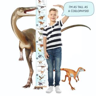 No. 7 - Dinosaur Growth Chart - 2