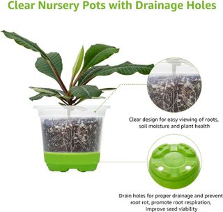 No. 10 - MIXC 4 Inch Nursery Pots - 5