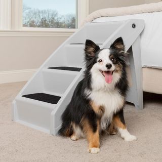 No. 10 - PetSafe CozyUp Folding Dog Stairs - 1