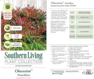 No. 4 - Southern Living Obsession Nandina - 4