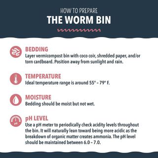 No. 9 - Worm Nerd Composting Worms - 4