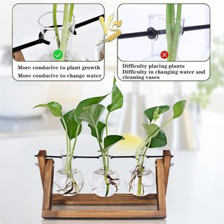 No. 2 - Plant Propagation Station - 3