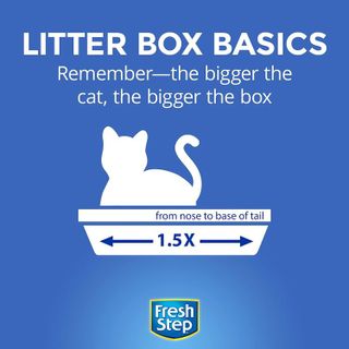 No. 7 - Fresh Step Clumping Cat Litter - 2
