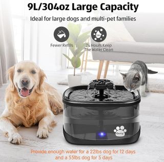 No. 8 - Kastty 300oz/9L Dog Water Fountain - 2