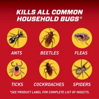 No. 2 - Ortho Home Defense Insect Killer - 4