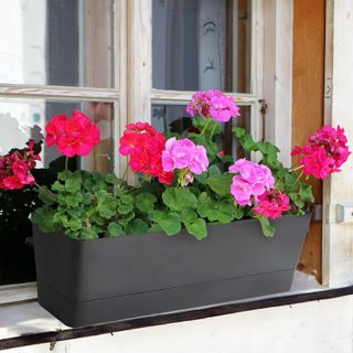 No. 7 - GREANER Window Boxes Planters - 4