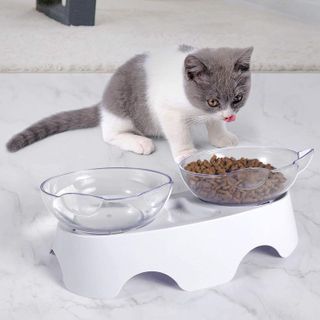 No. 6 - MILIFUN Cat Food Bowls Elevated Tilted - 5