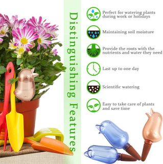 No. 7 - Kiroyal Self-Watering Stakes - 4