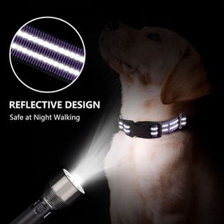 No. 3 - Martingale Dog Collars - 5